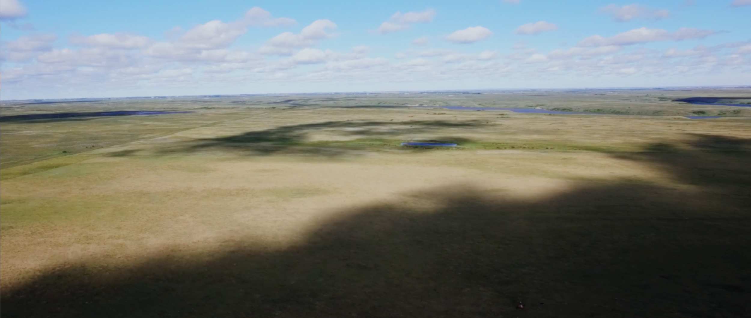 Screen Shot 2020-11-18 at 12.40.05 PM.png