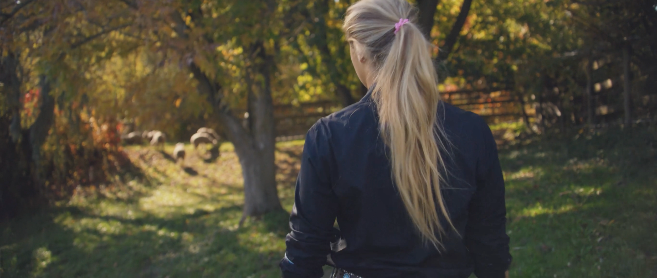 Screen Shot 2020-11-18 at 12.41.05 PM.png