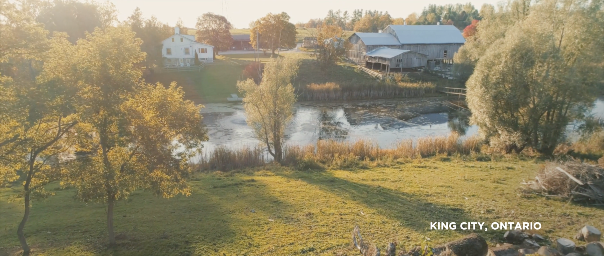 Screen Shot 2020-11-18 at 12.40.20 PM.png