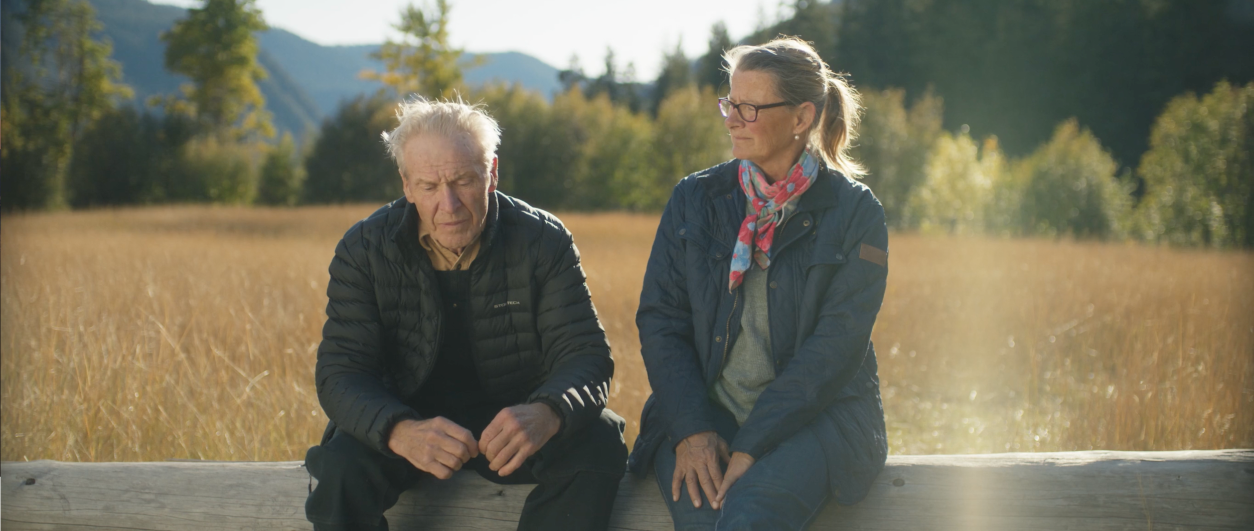 Screen Shot 2020-11-18 at 12.42.27 PM.png