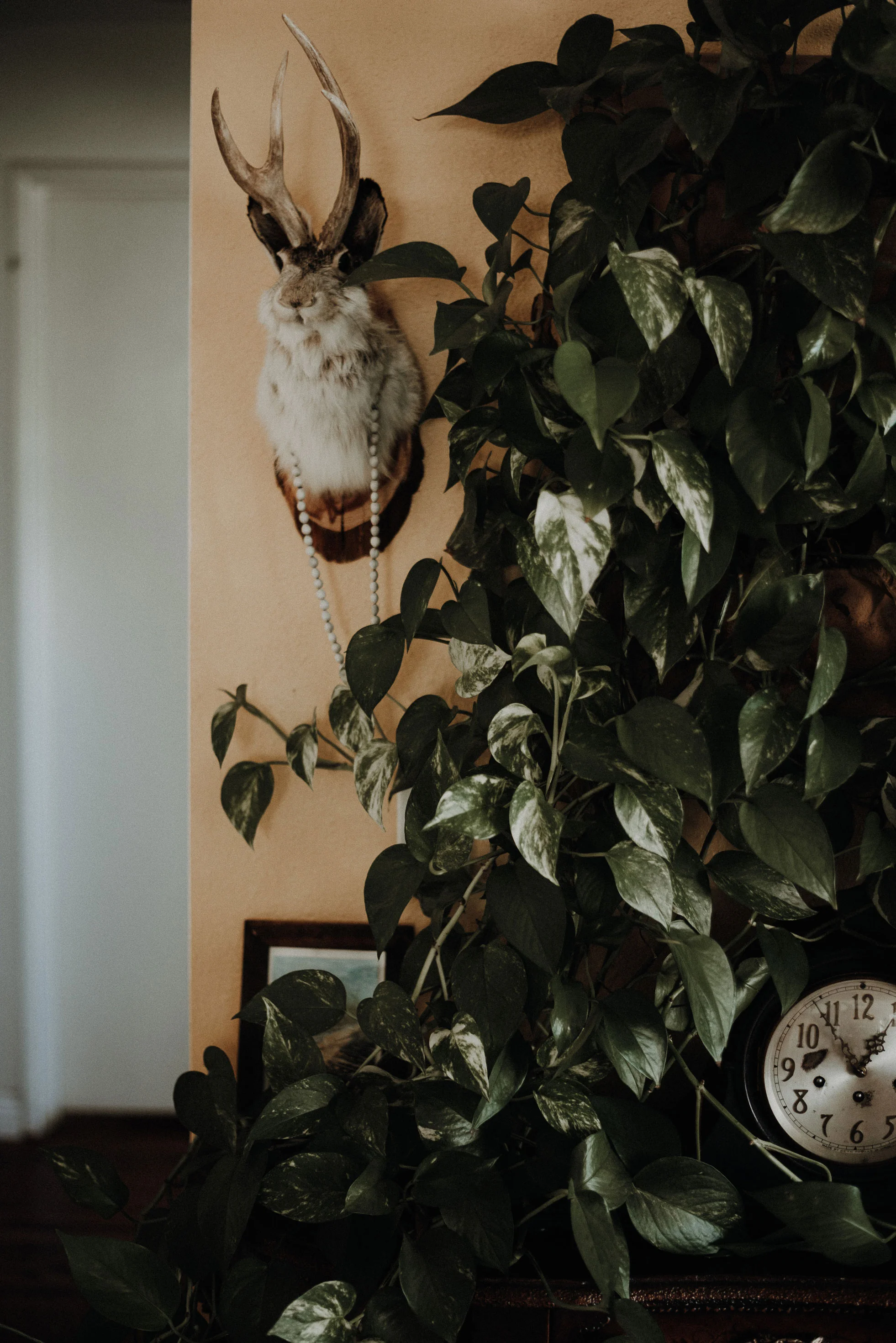 2018_03_Missy-&-Don_Engagement-7351.jpg