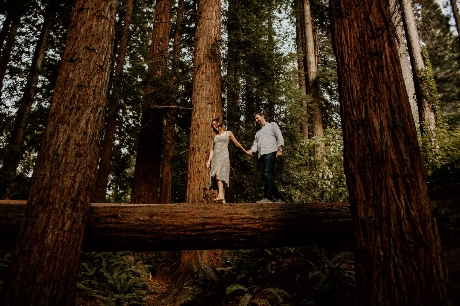 Kristina Kay Photography_Redwoods Engagement--12.jpg
