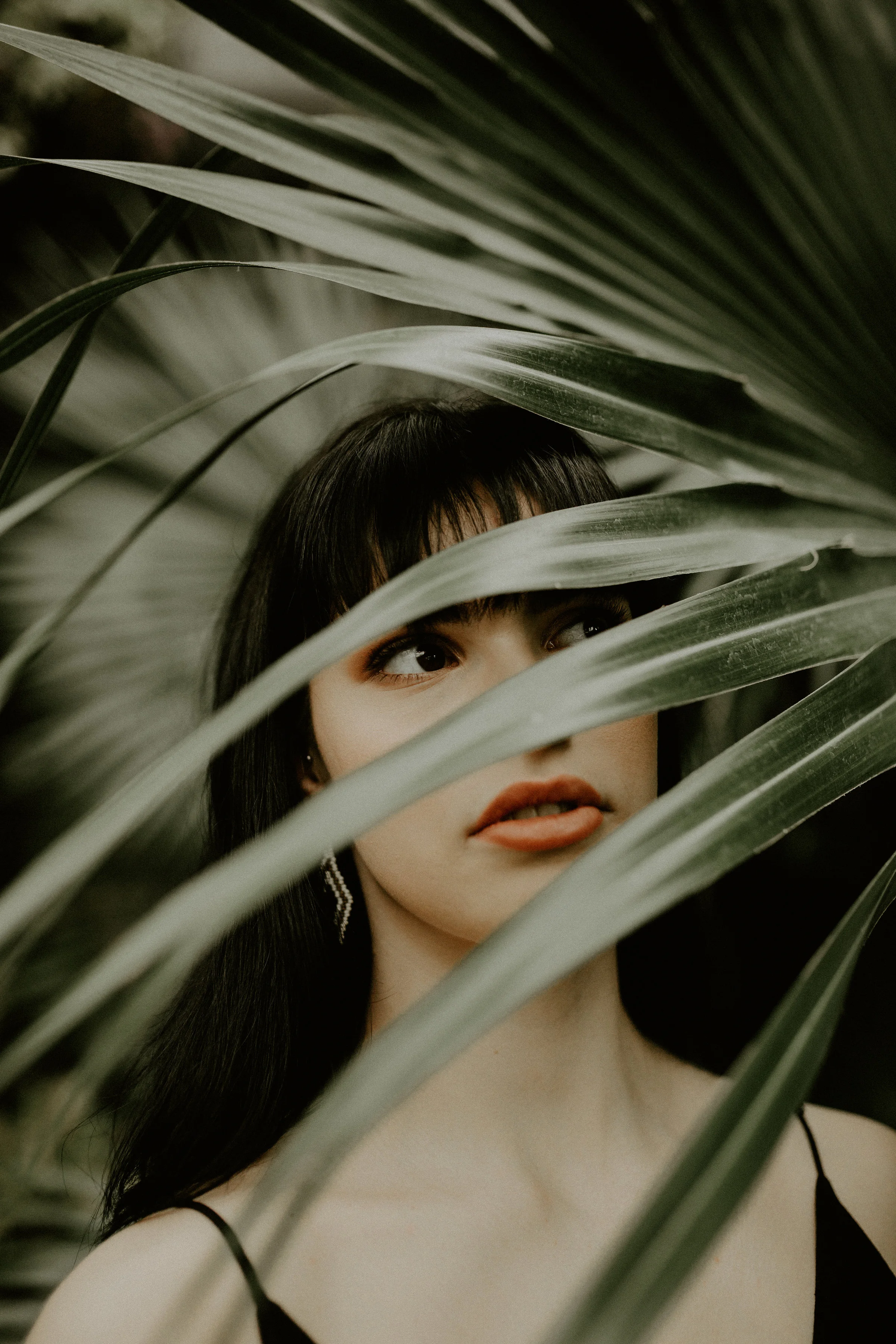 Zoo-82.jpg