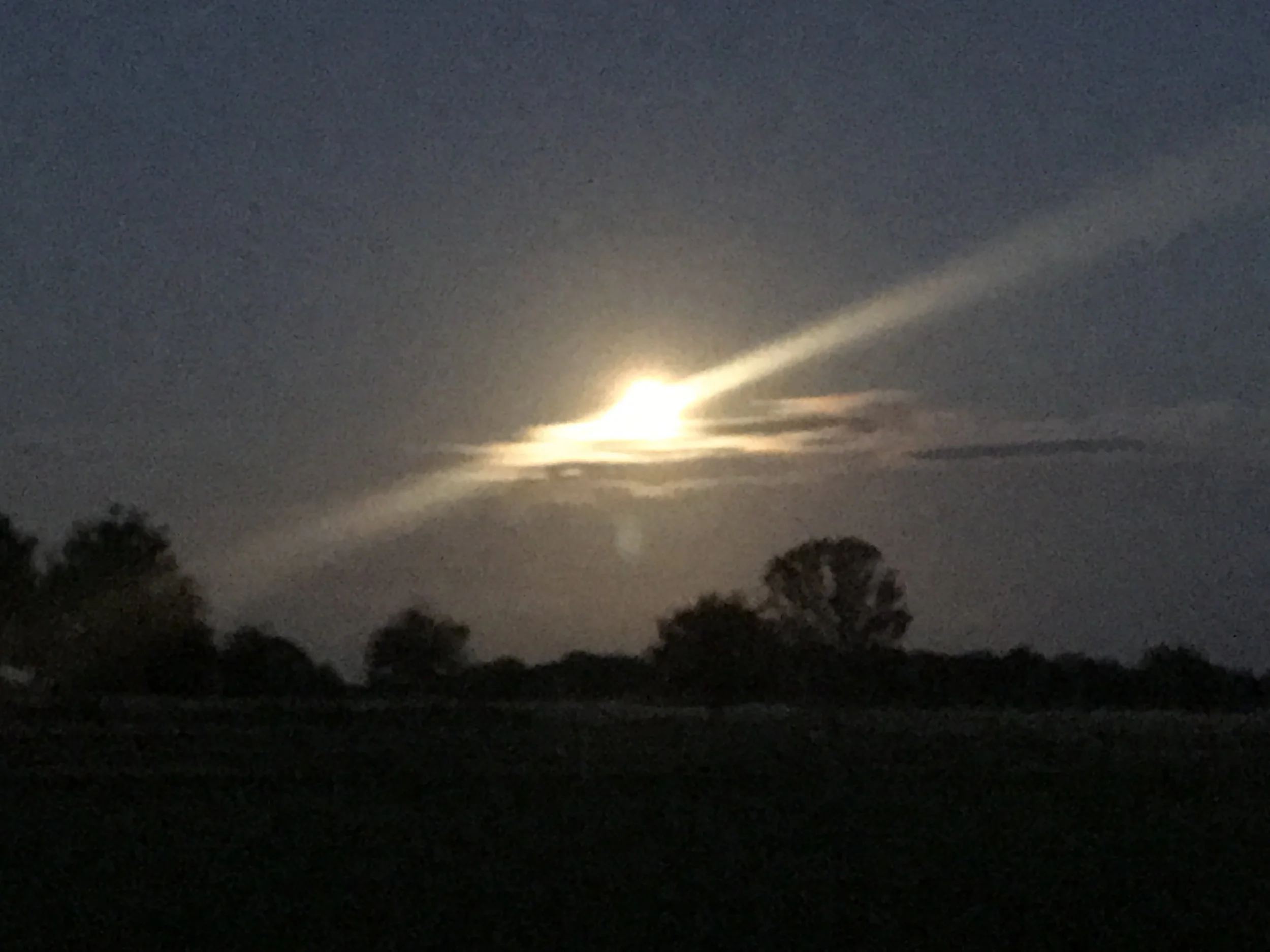 20170610_010514924_iOS.jpg