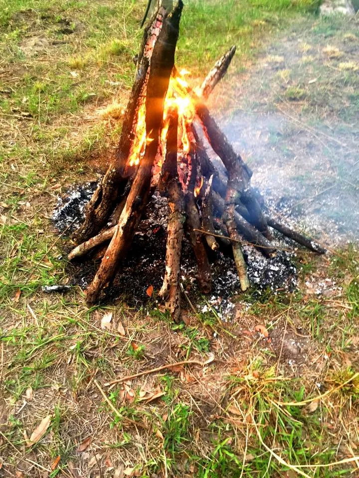 20150501_030434000_iOS.jpg