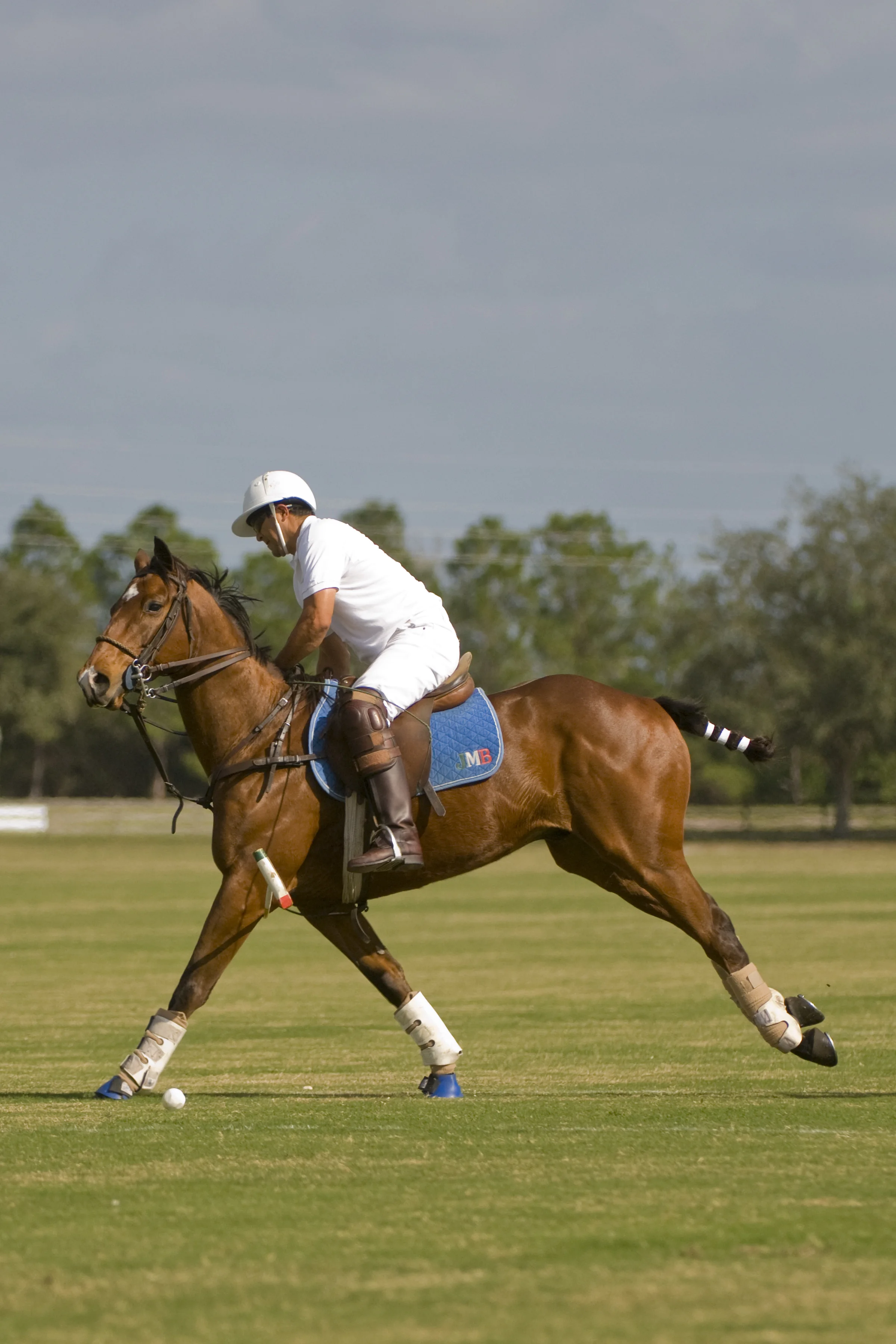 S-POLO_045.jpg