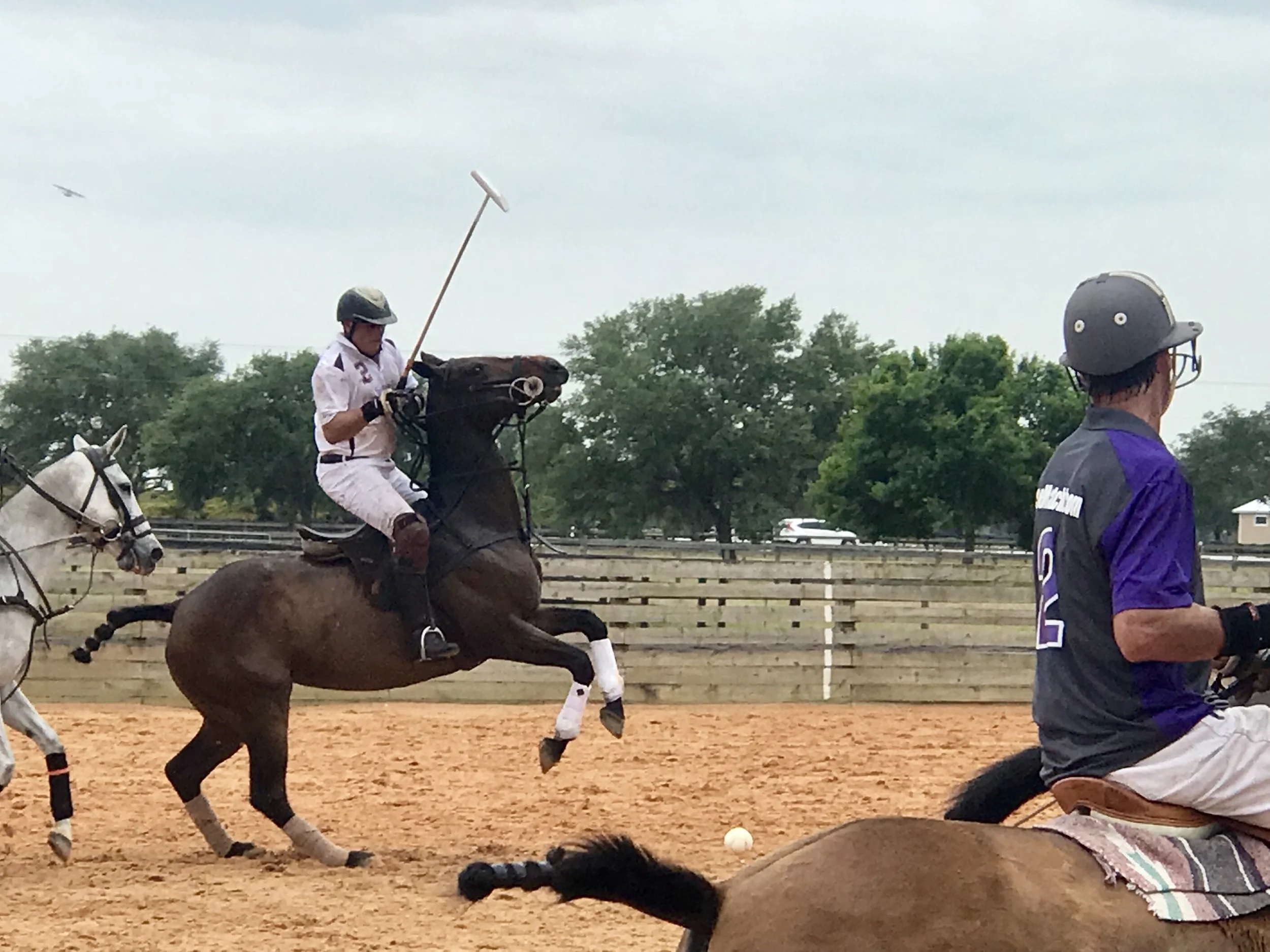 Epic Polo Saturday Chukkers