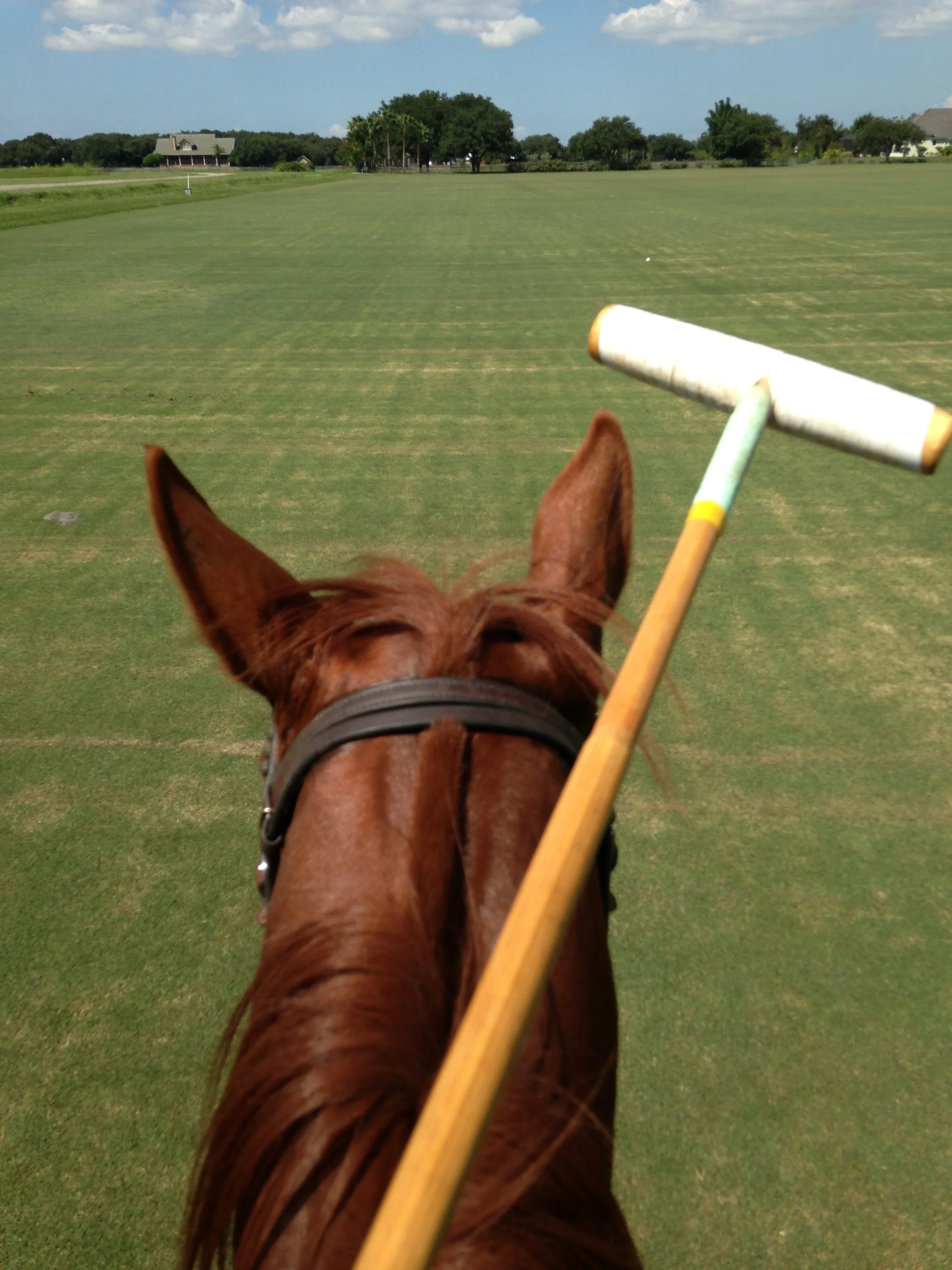 Epic Polo Wednesday Chukkers