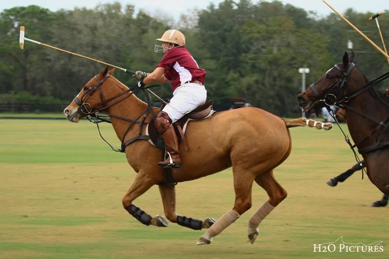 Epic Polo Saturday Chukkers