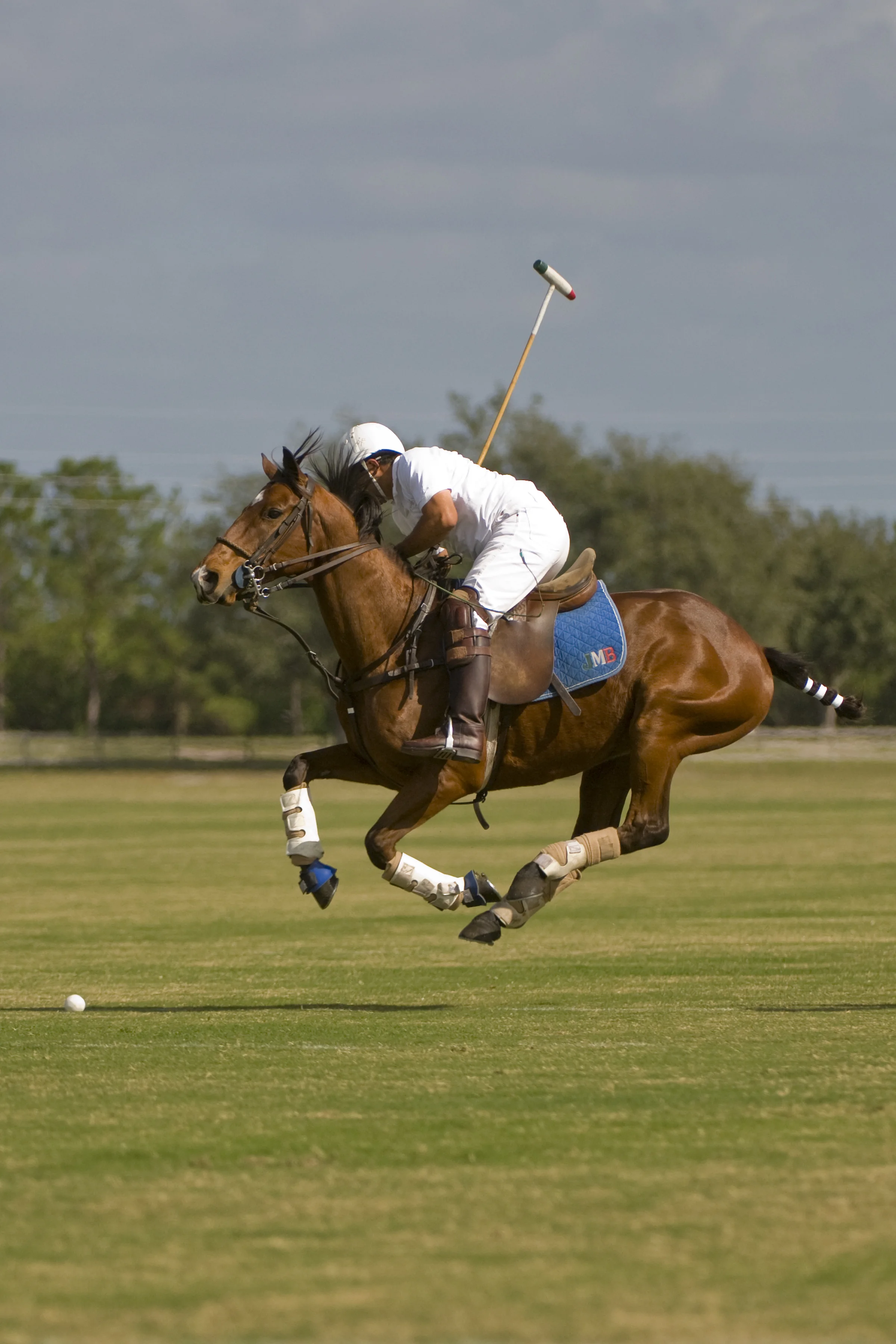 Epic Polo Wednesday Chukkers