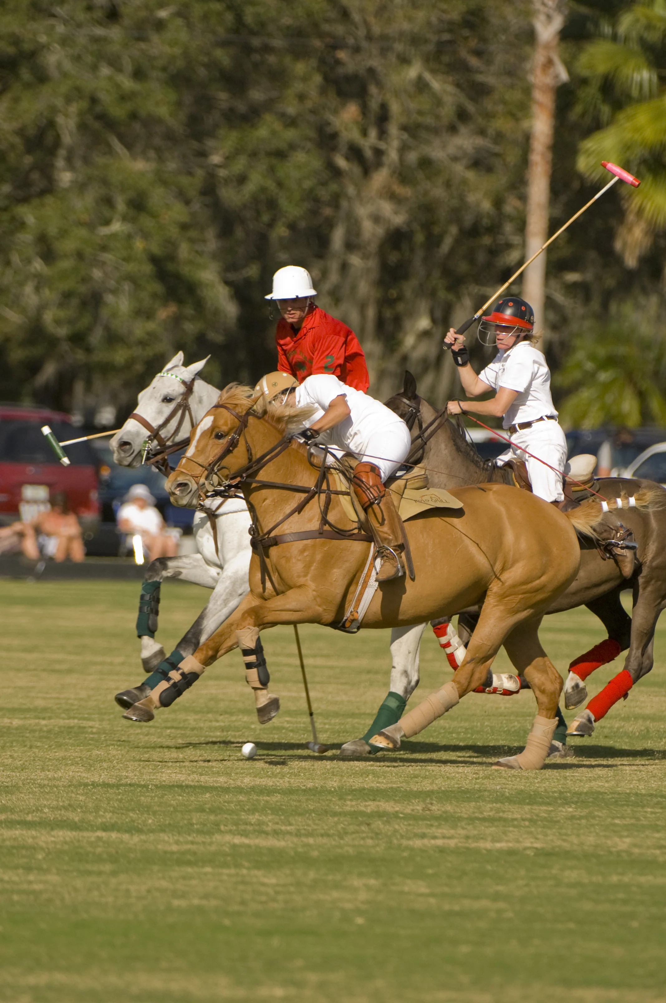 S-POLO_159.jpg