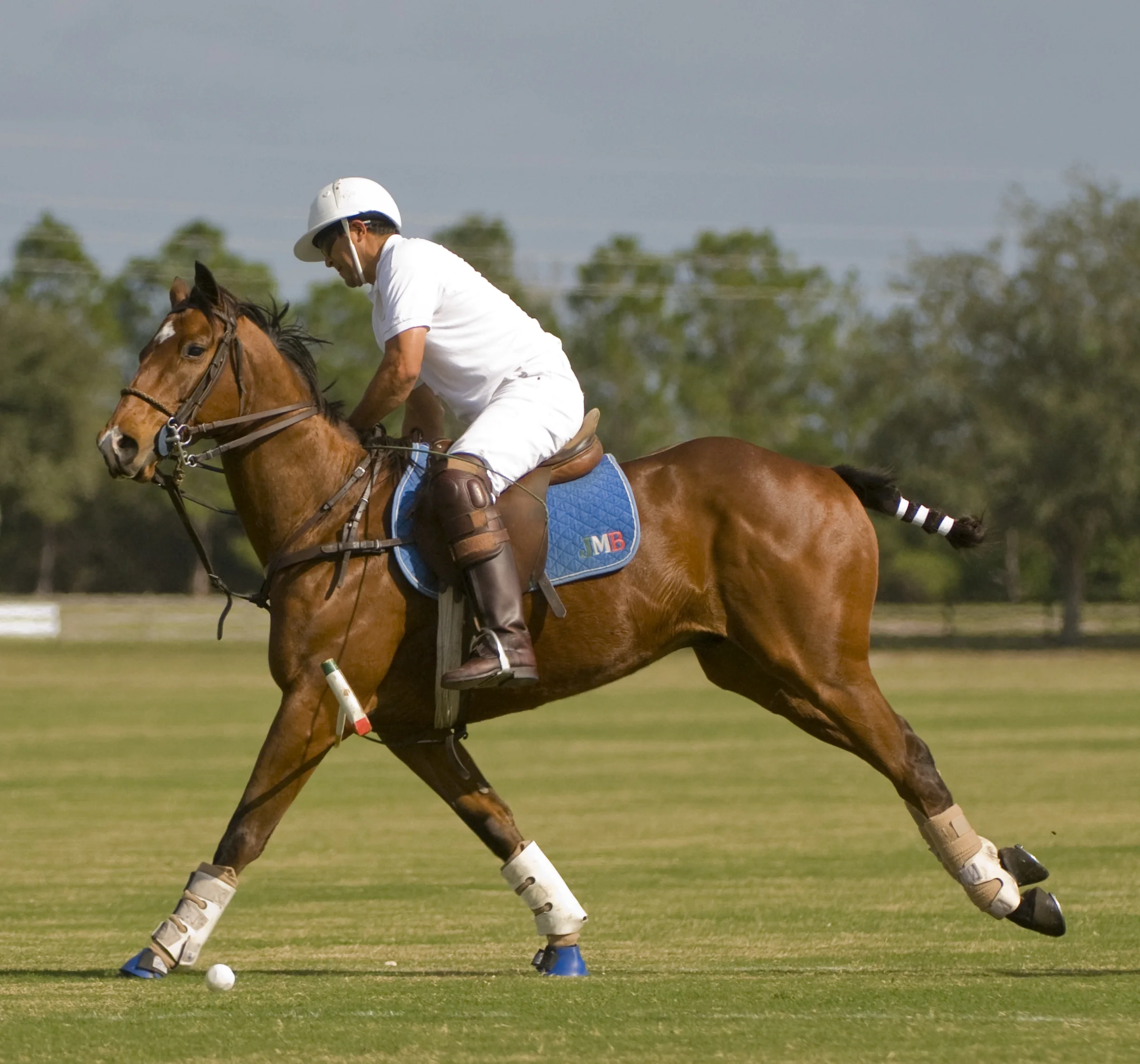 Epic Polo Stick + Ball