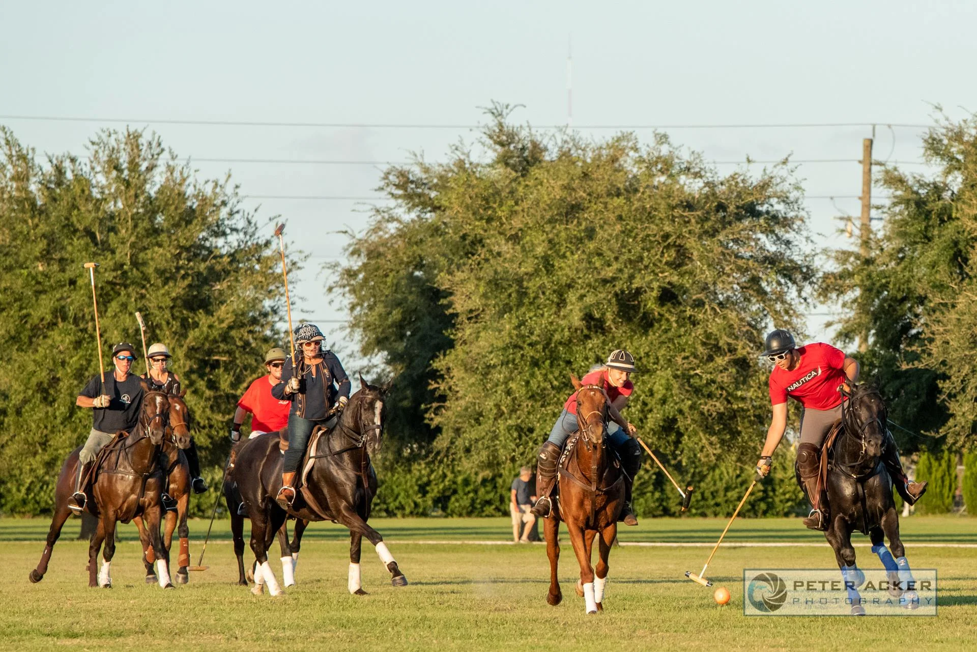 Epic Polo Wednesday Chukkers