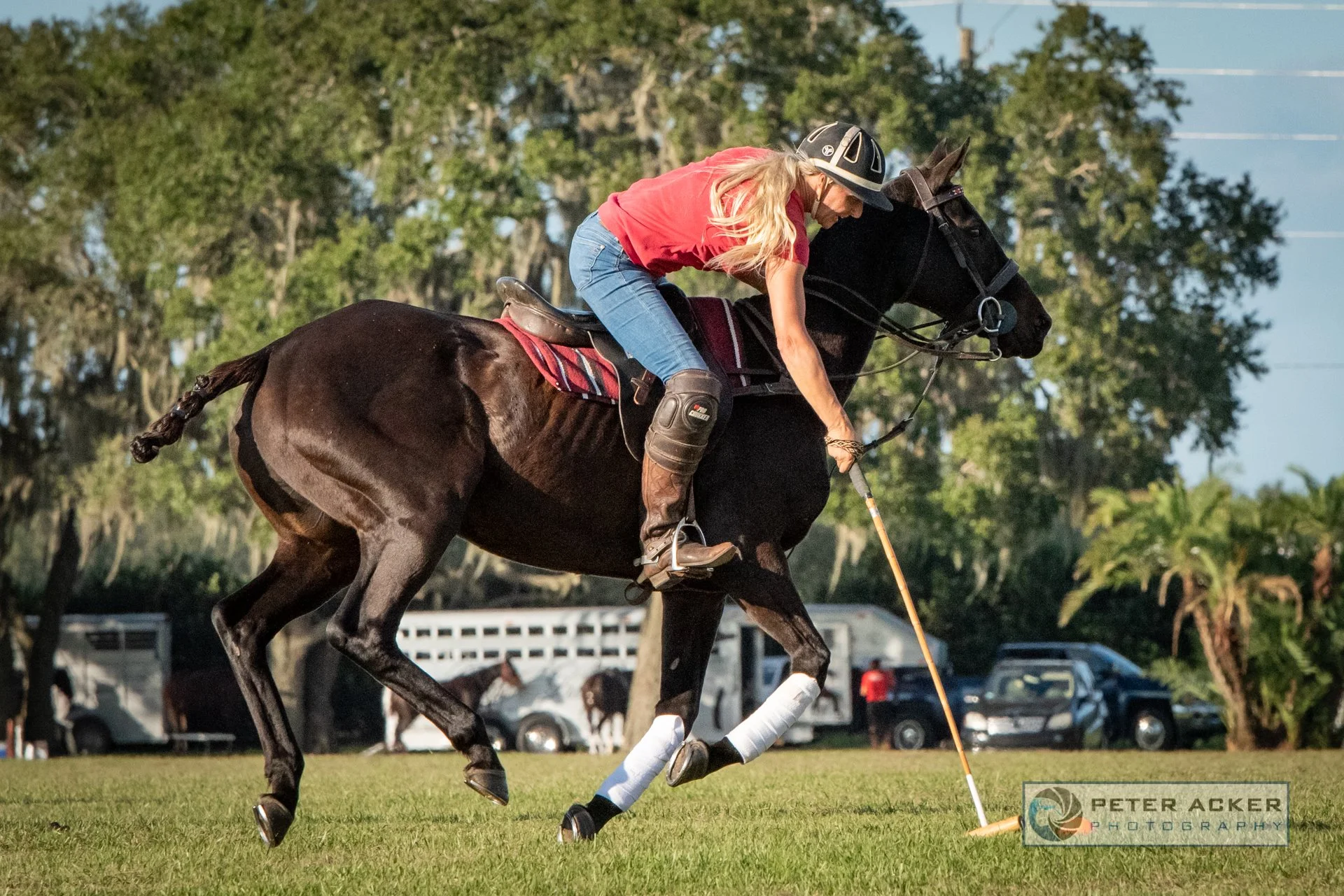 Epic Polo Wednesday Chukkers