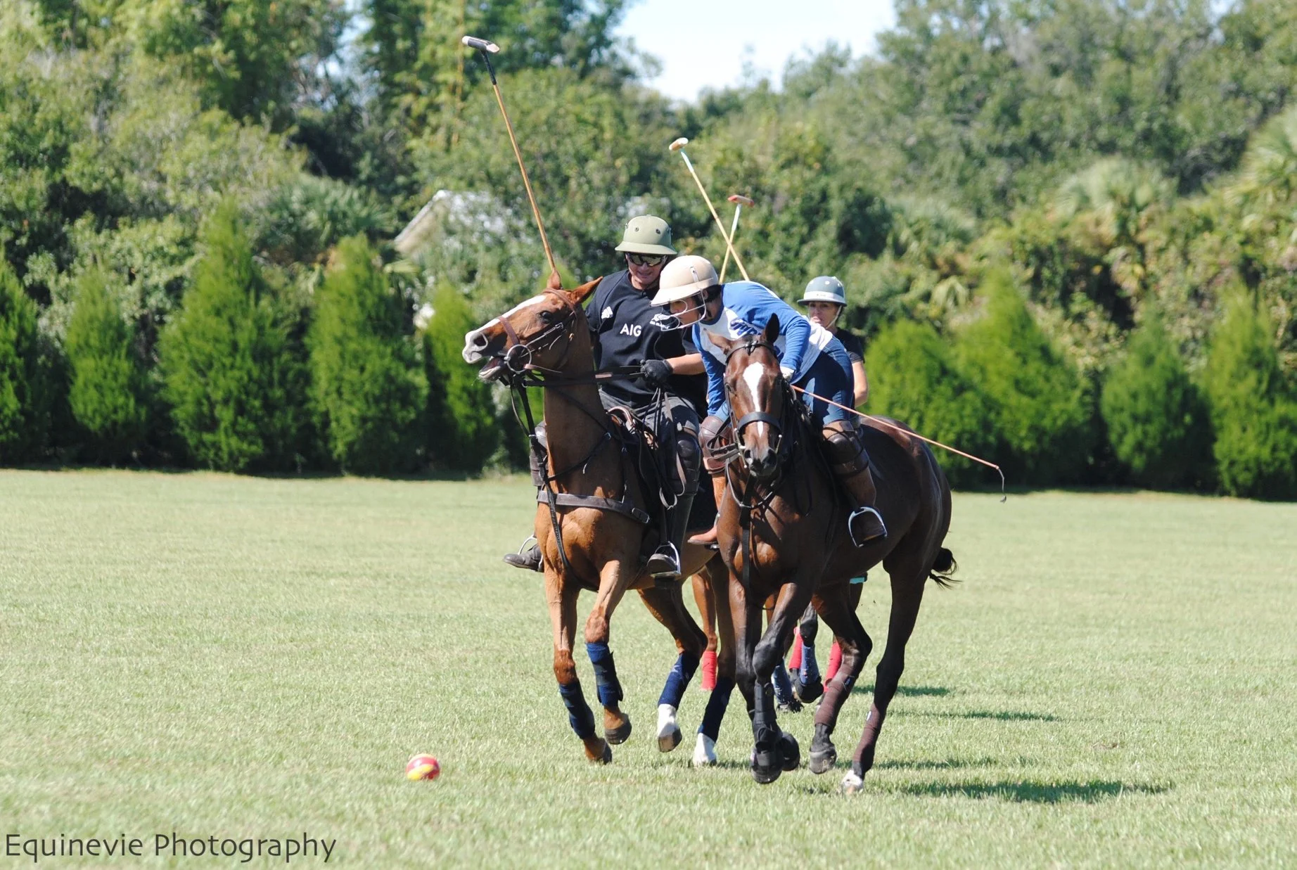 Epic Polo Wednesday Chukkers