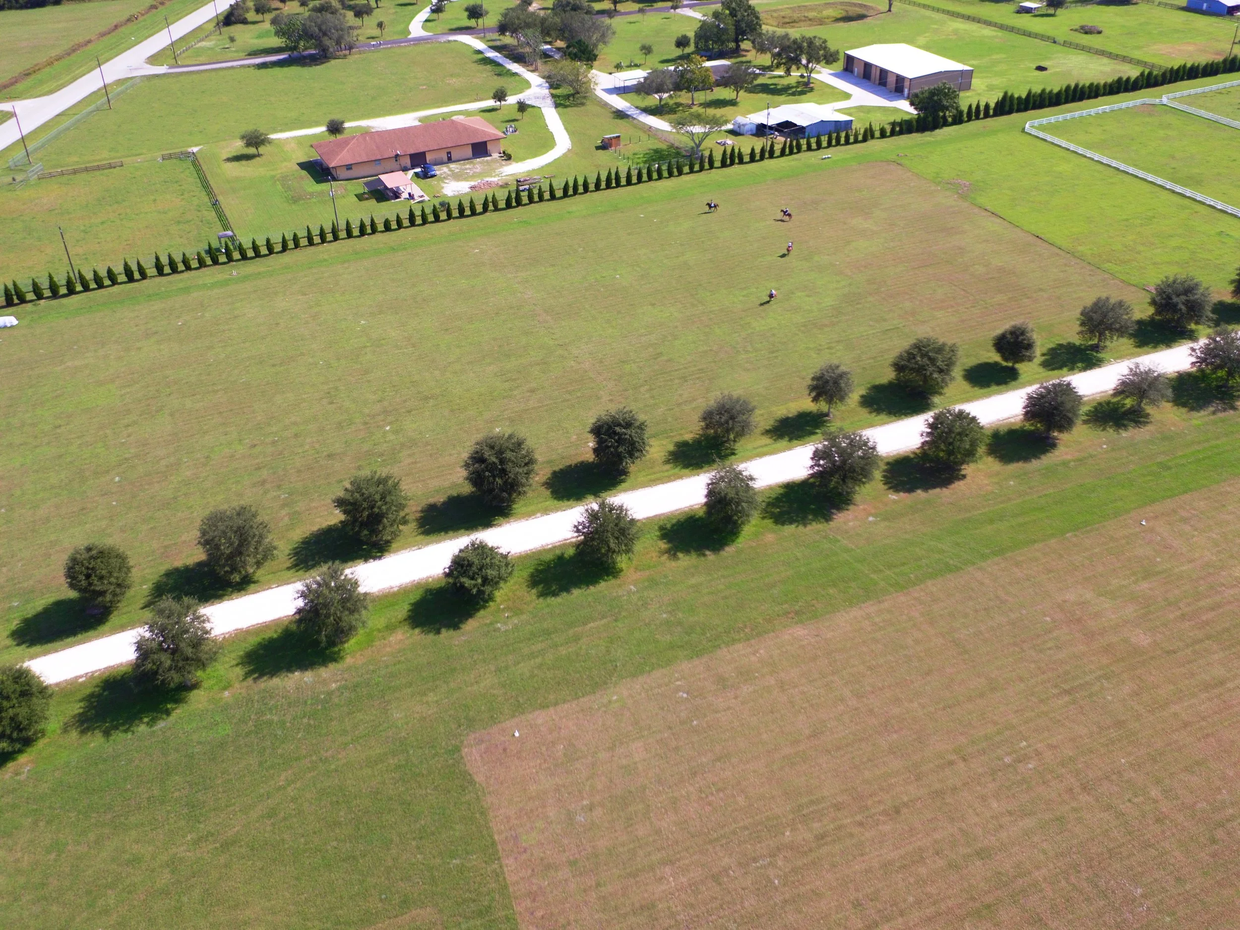 DJI_0012.JPG