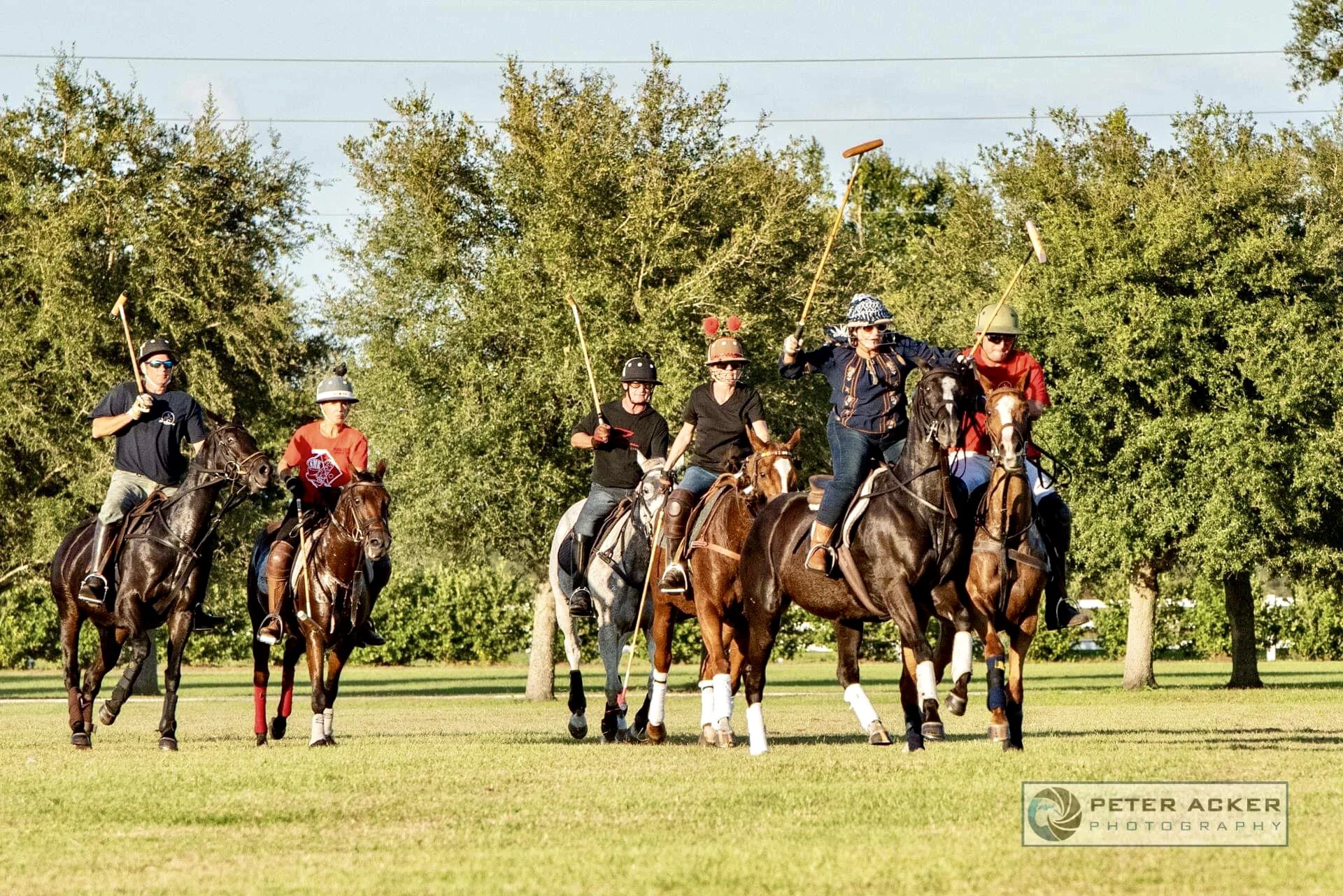 Epic Polo Wednesday Chukkers