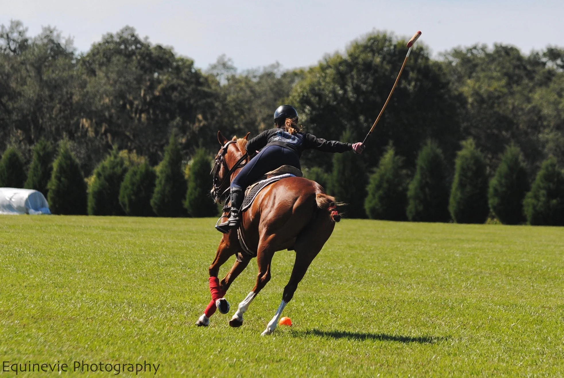 Epic Polo Saturday Chukkers