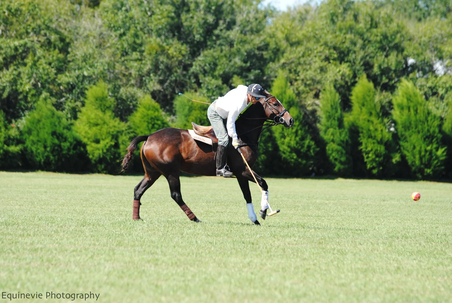 Epic Polo Saturday Chukkers