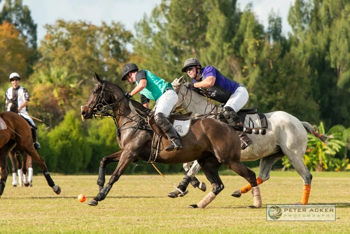 Epic Polo Super-Polo-Bowl Tourney