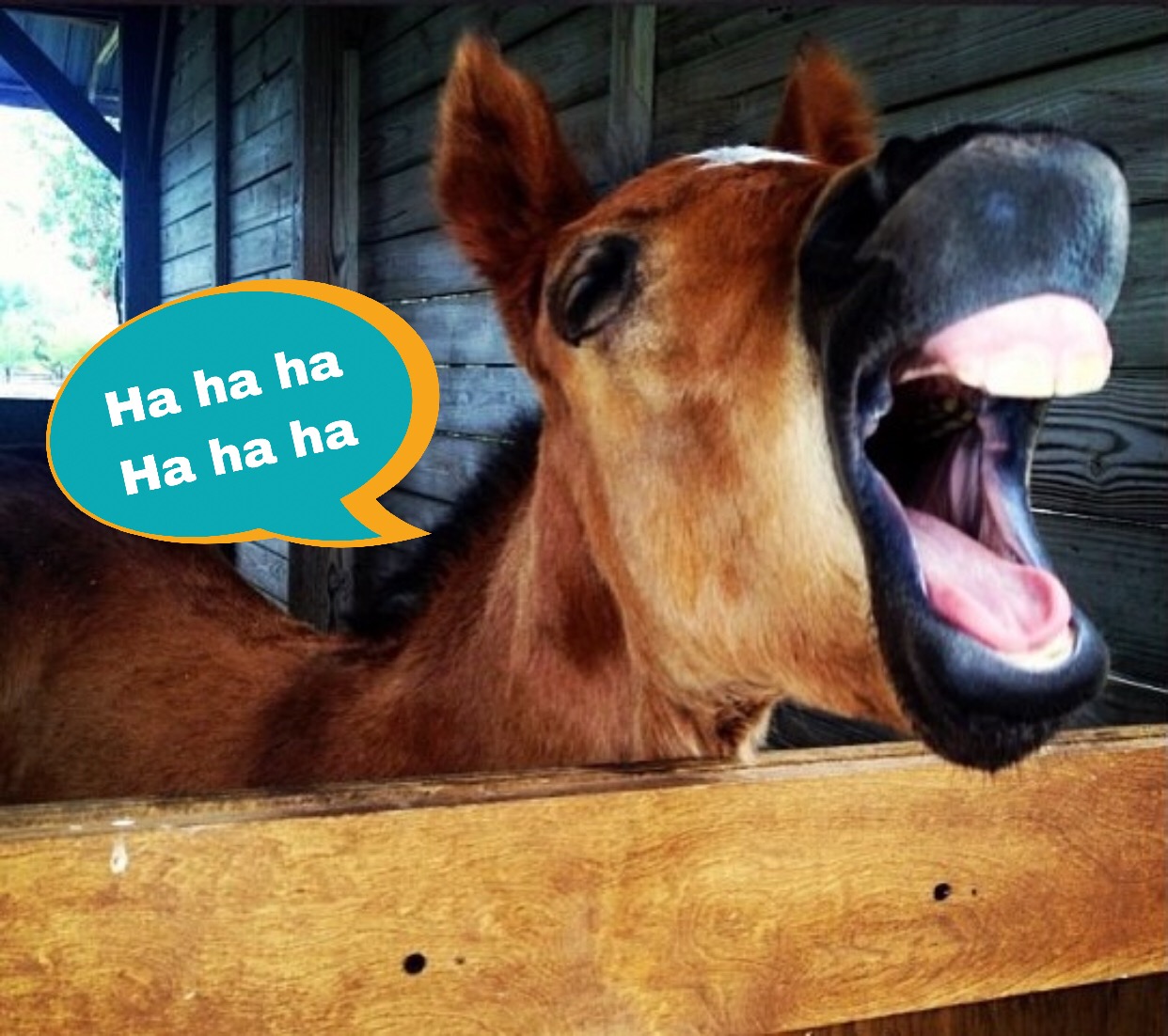 Epic Polo Comedy Night