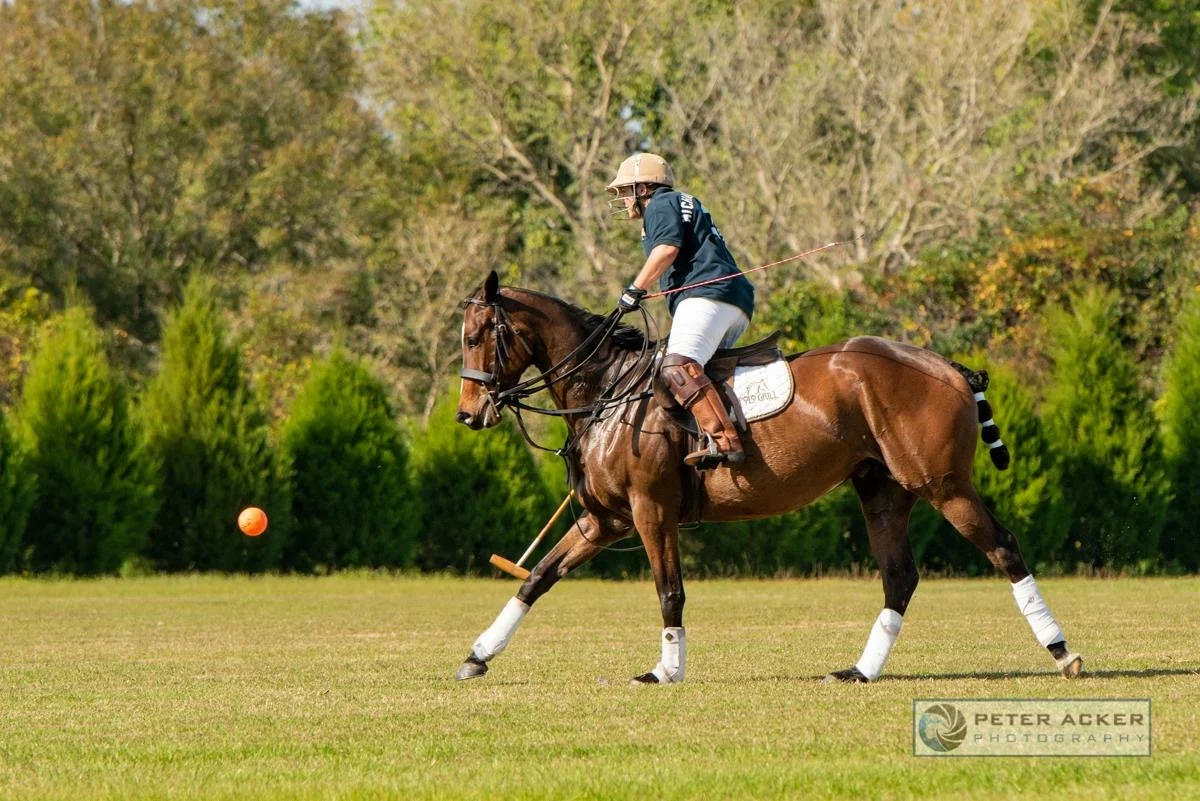 Epic Polo Sunday Chukkers