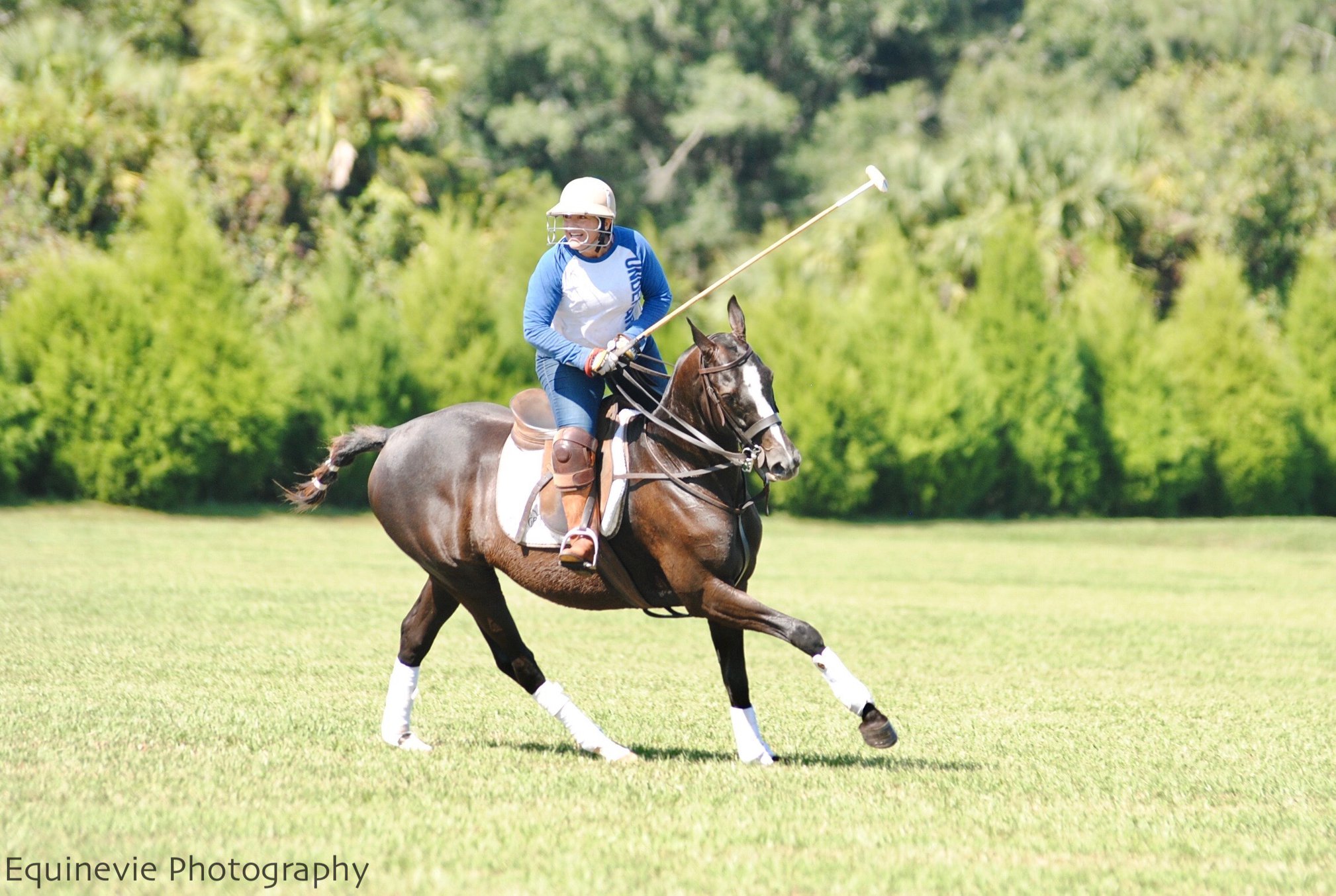 Epic Polo Wednesday Chukkers