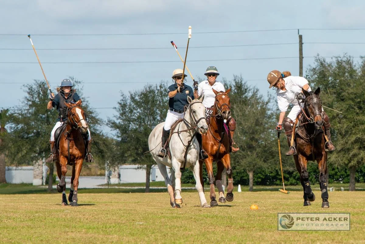 Epic Polo Wednesday Chukkers
