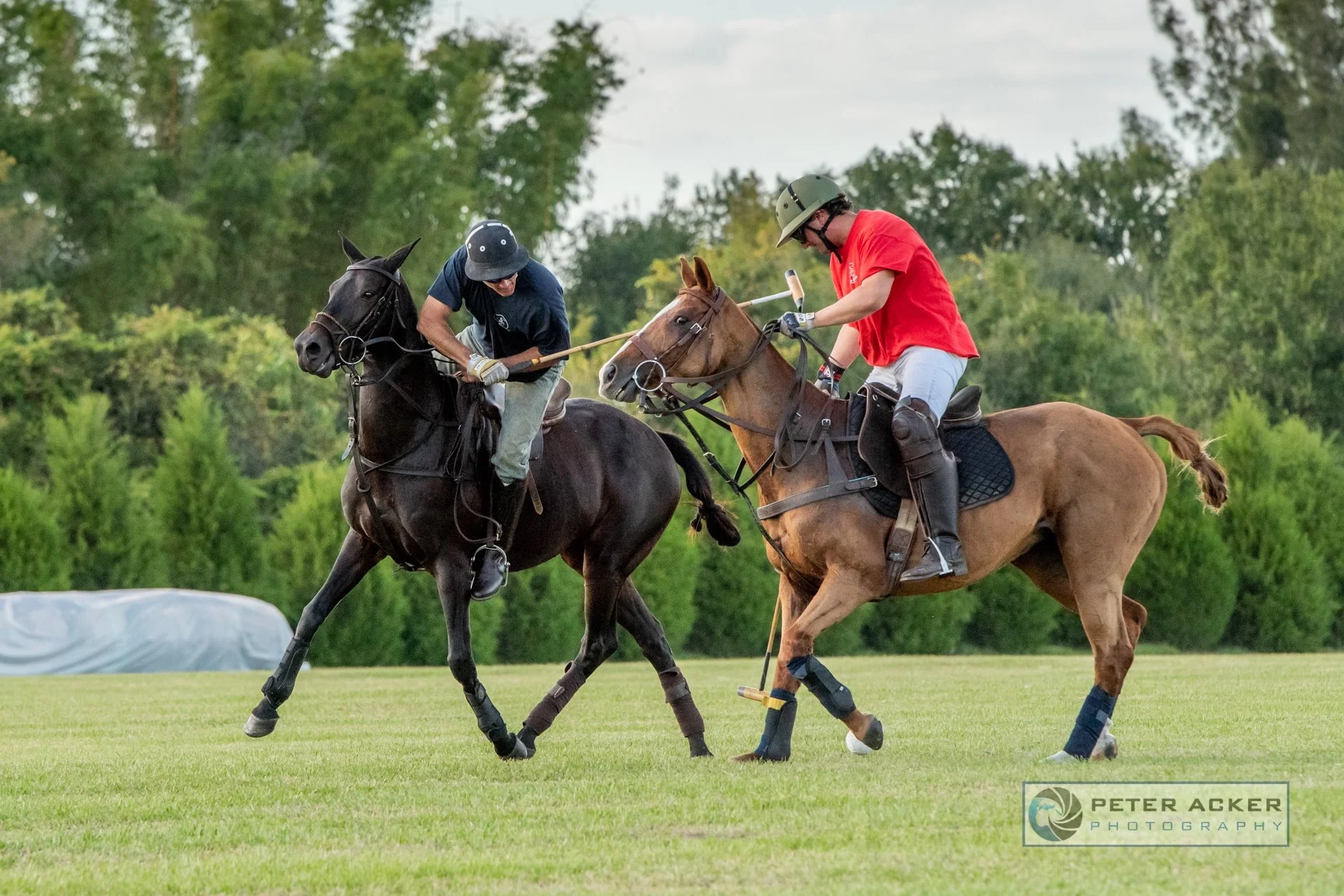 Epic Polo Wednesday Chukkers