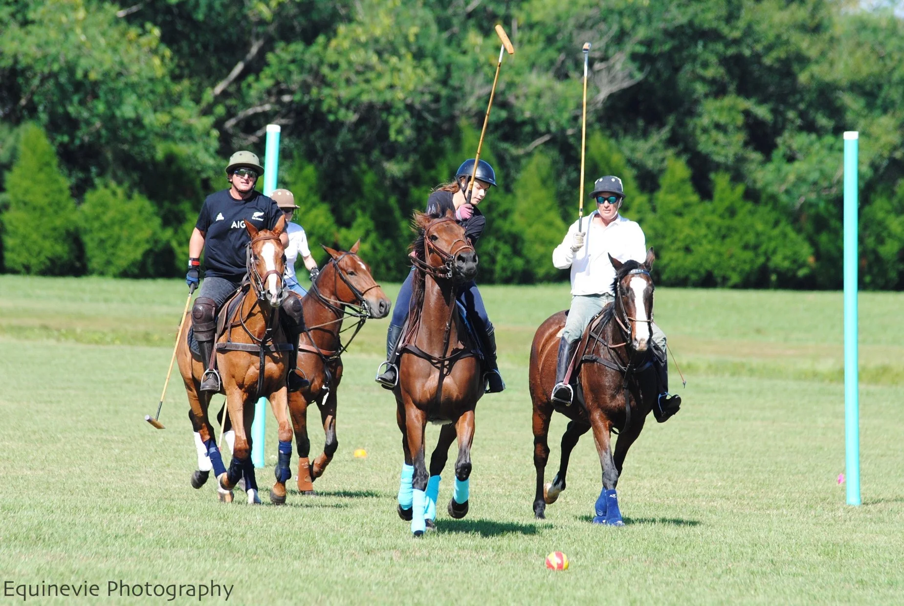 Epic Polo Wednesday Chukkers