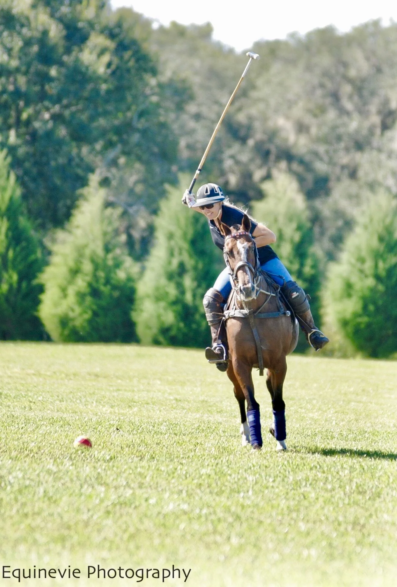 Epic Polo Saturday Chukkers  - LAST DAY