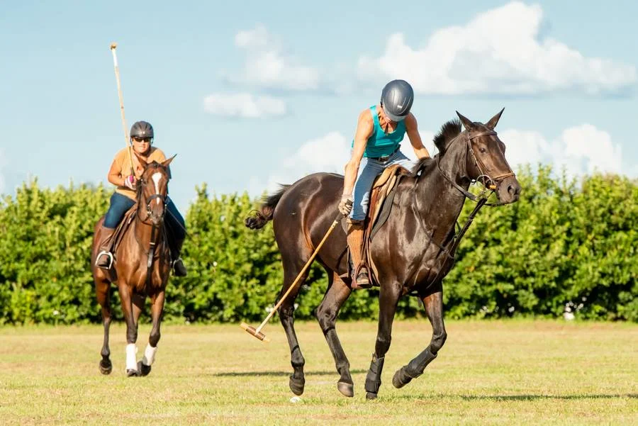 Epic Equine Riding + Polo Academy Launch