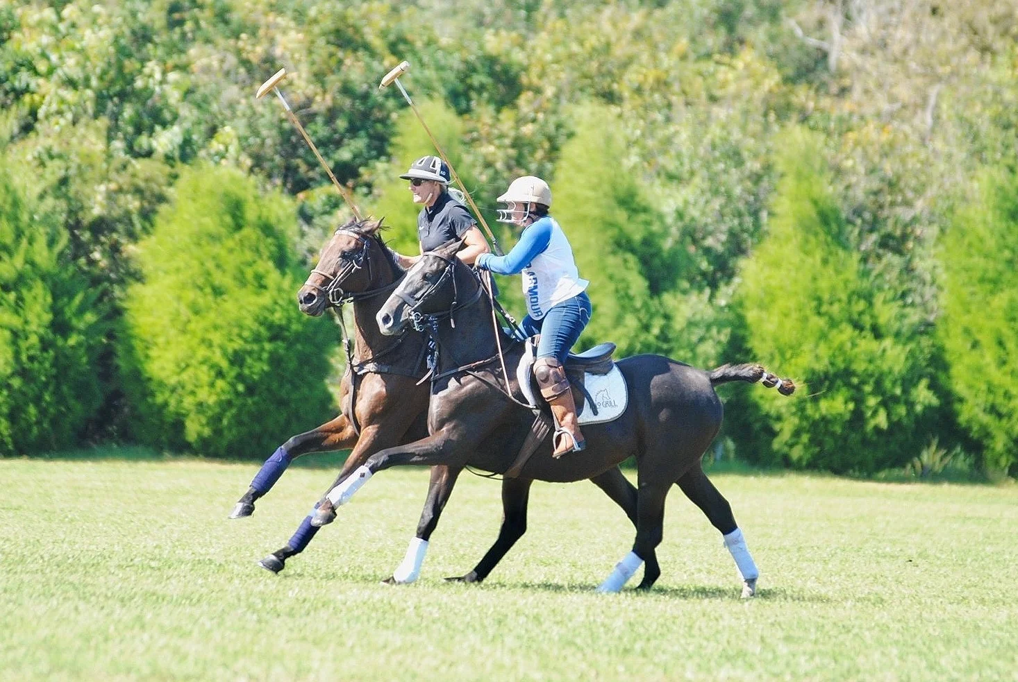 Epic Polo Morning Chukkers