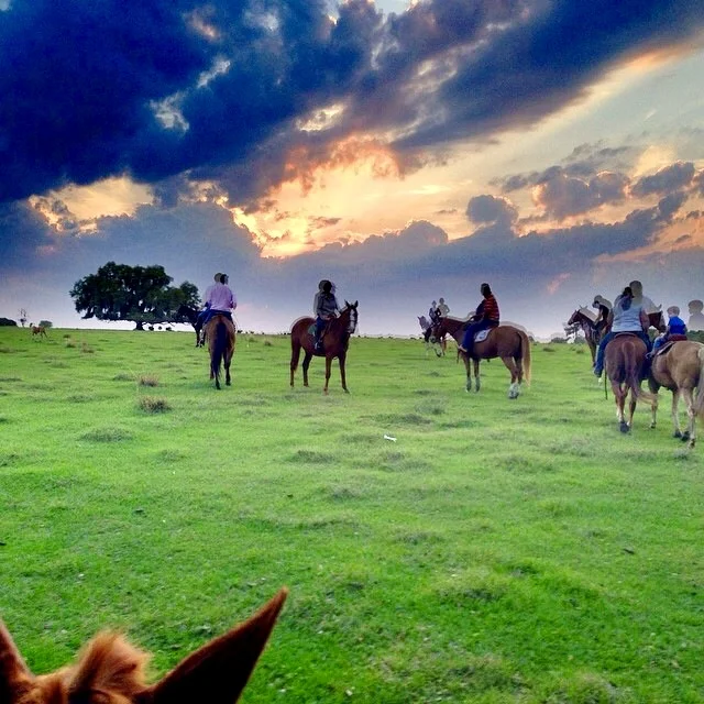 Epic Equine Experience - Strickland Ranch Trail Ride