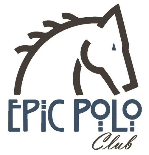 Epic Polo CLUB 1 Logo Steel and Espresso.jpg