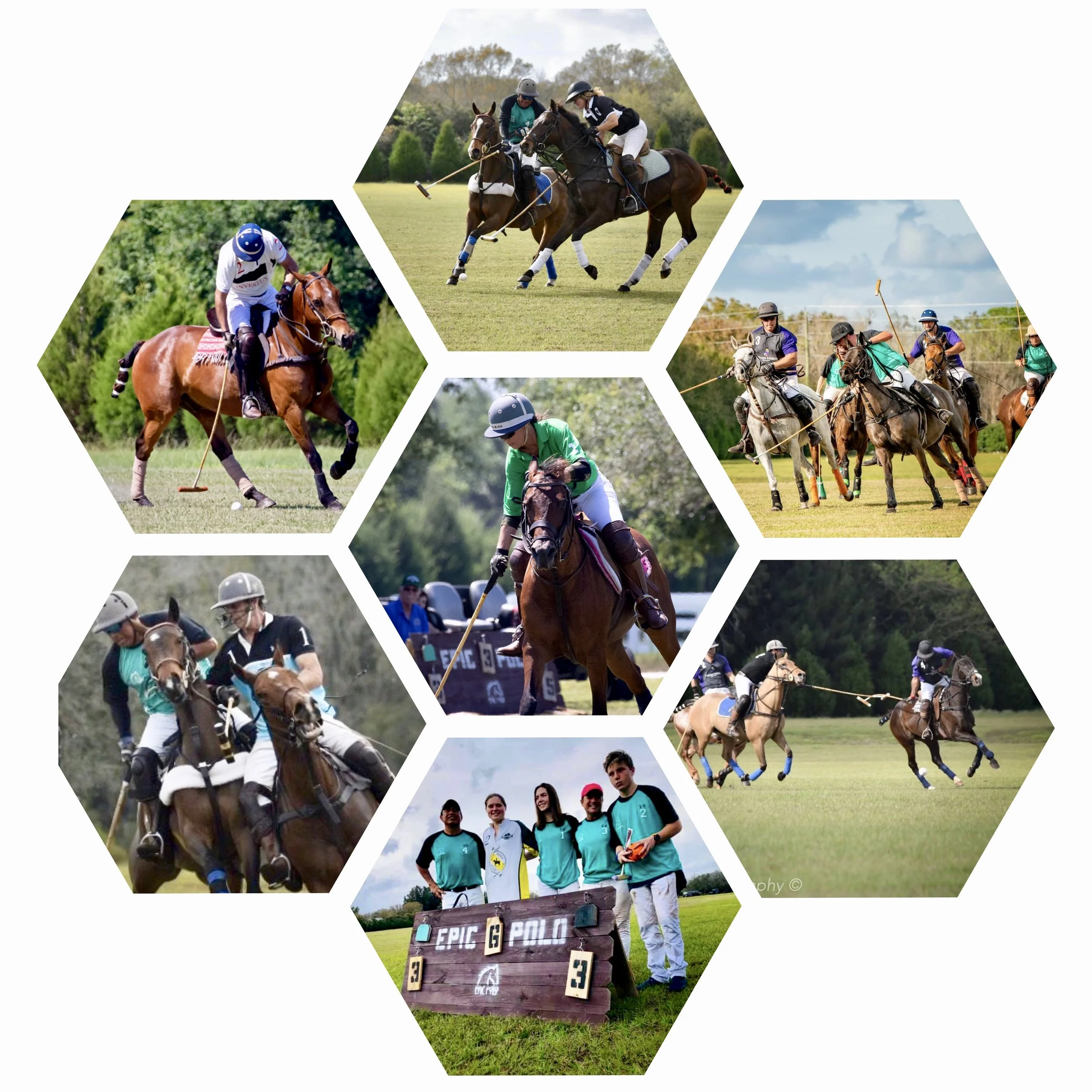 Epic Polo January Tournament