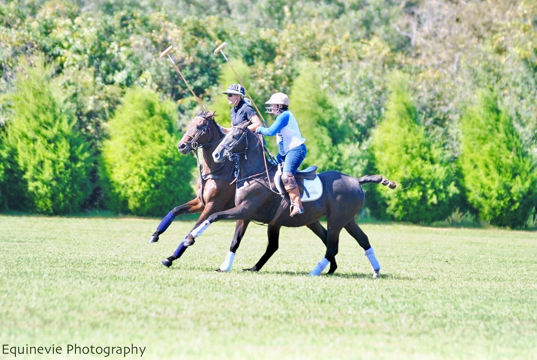 Epic Polo MORNING Chukkers