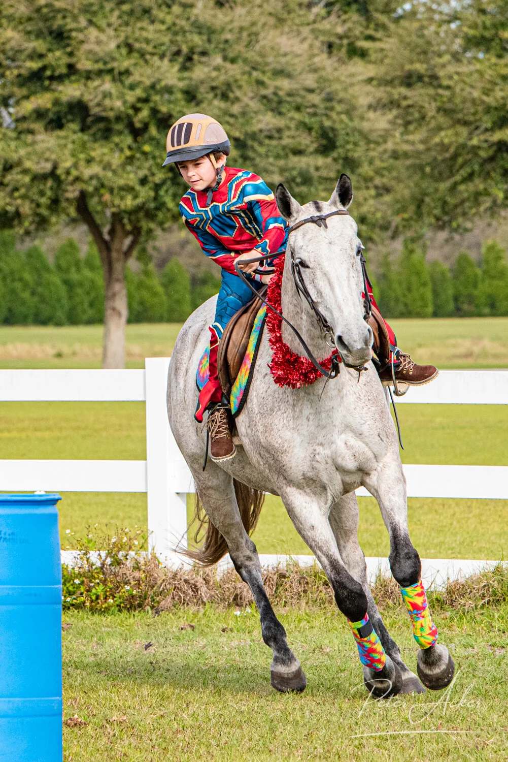 Epic Equine Horse Riding + Polo School — Epic Equine Experiences