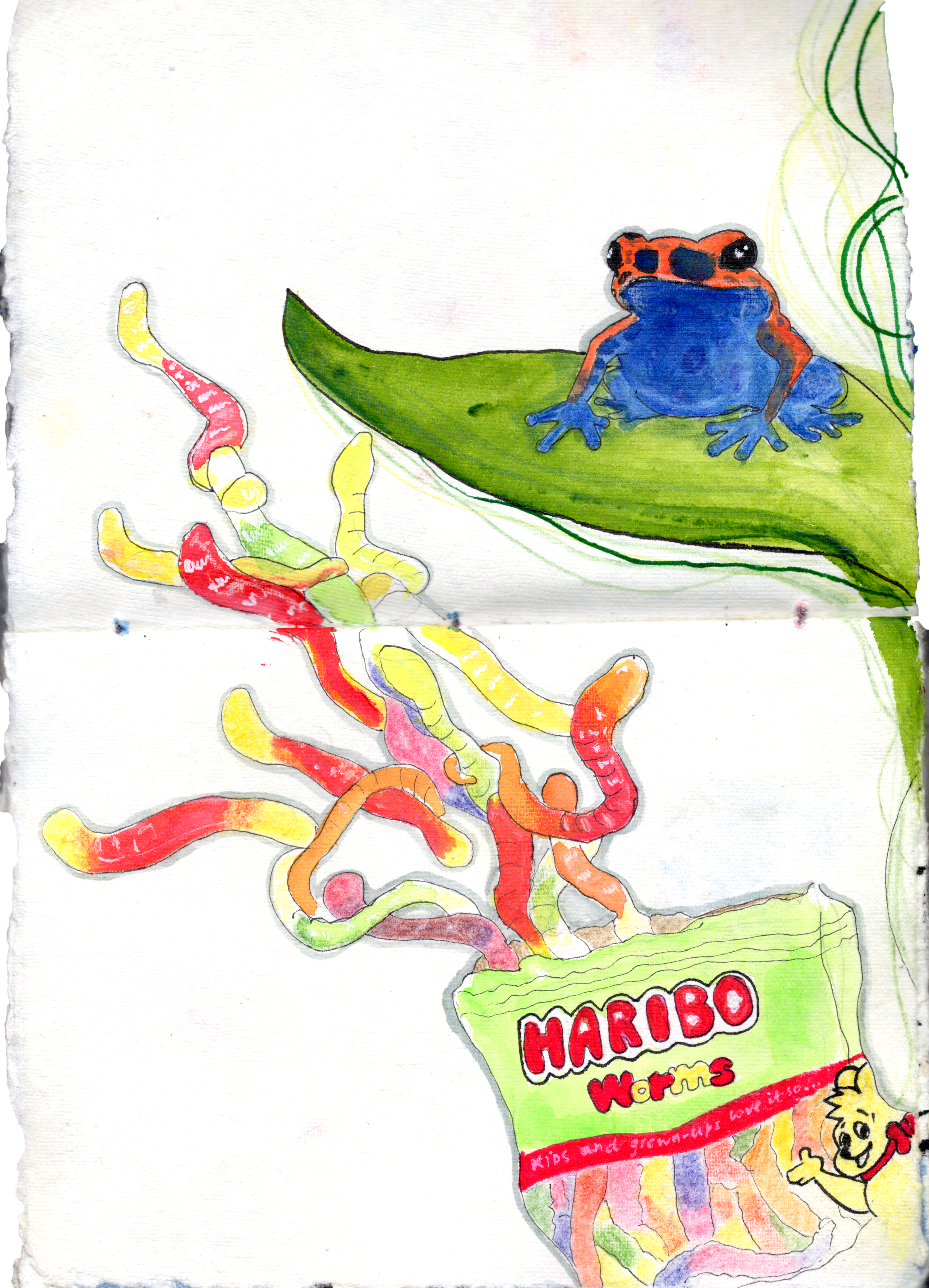 frog-haribo.png