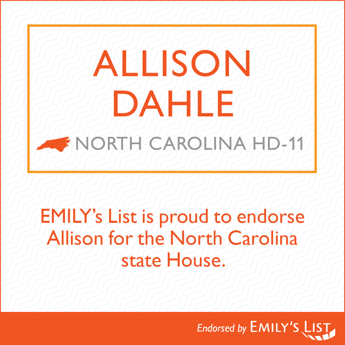 “In her extensive career fighting for people with disabilities and working for women’s rights, Allison Dahle has shown a passion for protecting marginalized communities time and again,” said Geri Prado, senior director of state and local campaigns at EMILY's List. “We are proud to endorse Allison for the North Carolina state House.”