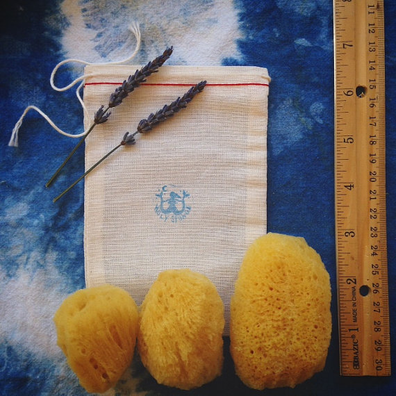 Image from Holy Sponge