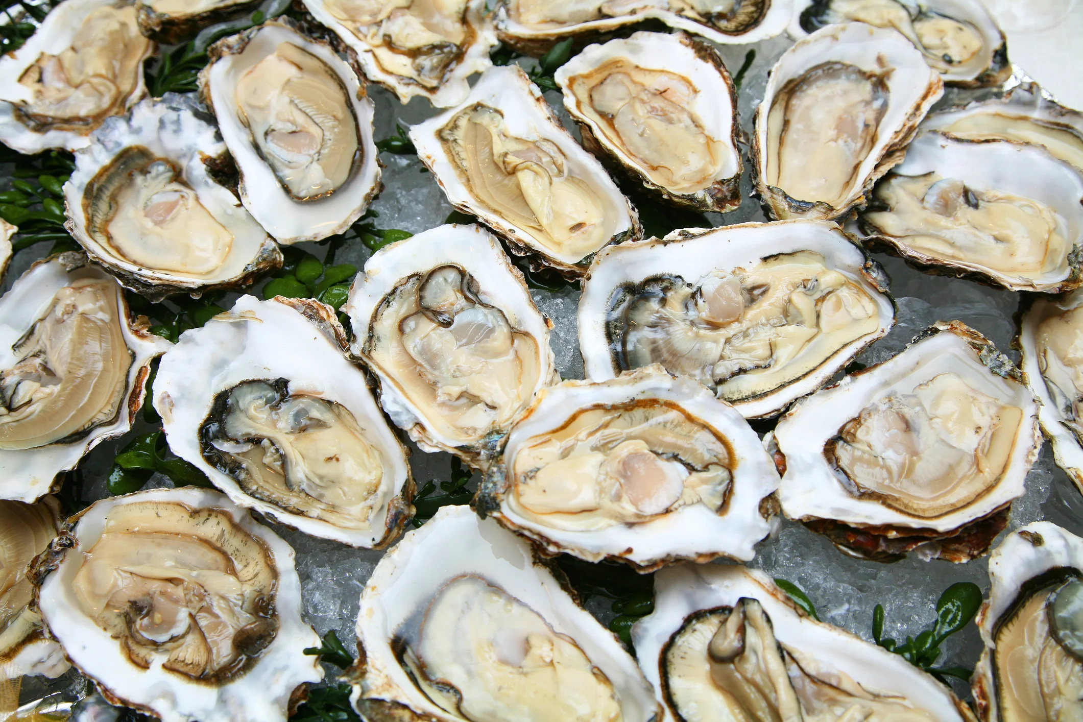 Featured image of post Steps to Make Where To Buy Oysters Los Angeles