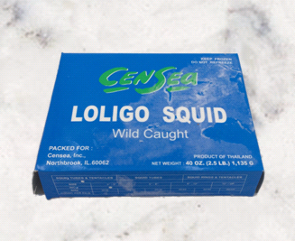 Loligo Squid.PNG