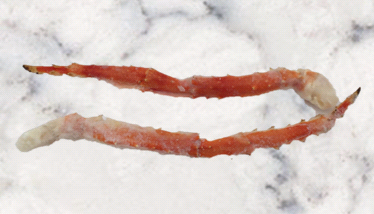 king crab legs.PNG