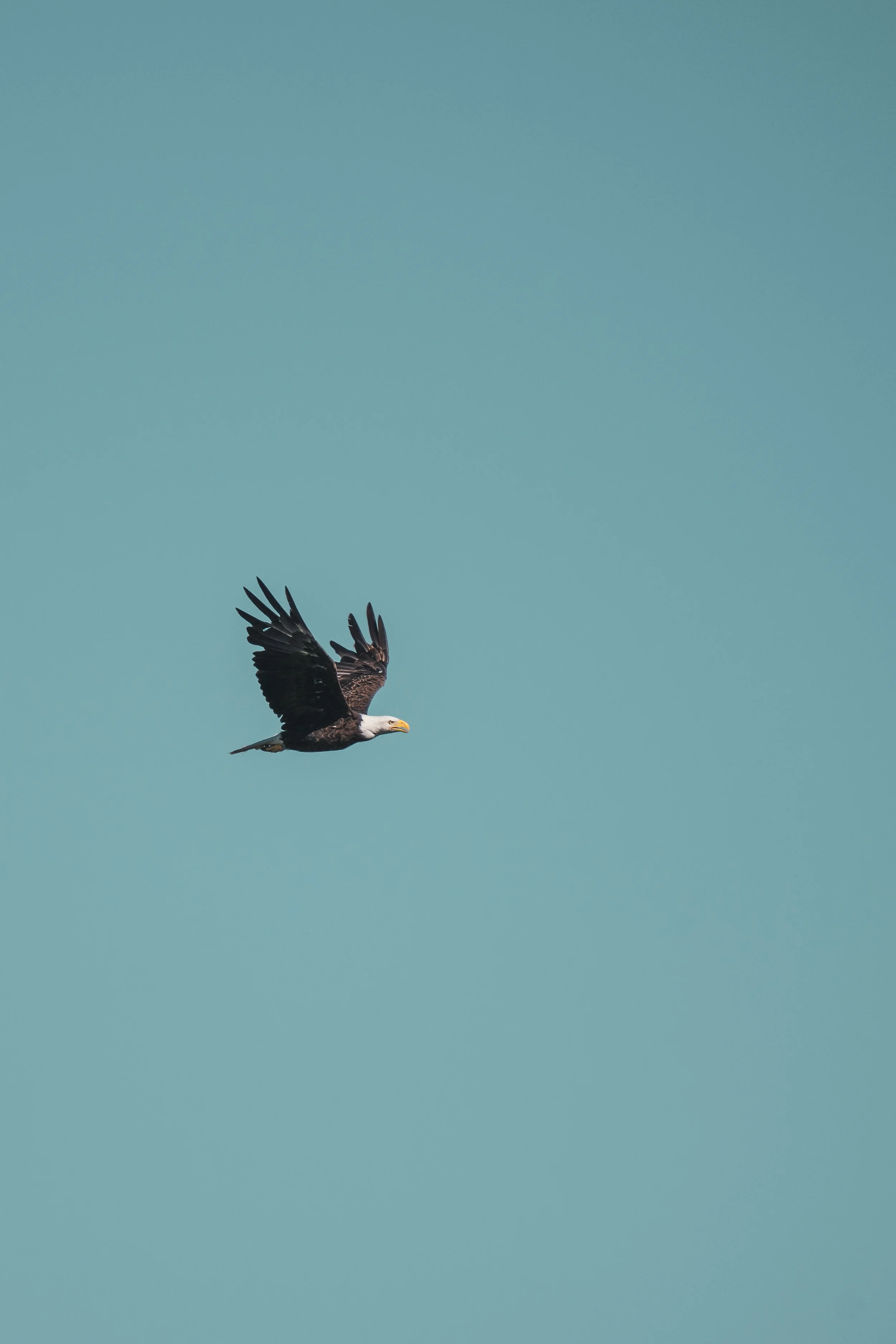 BOTY_00042.jpg