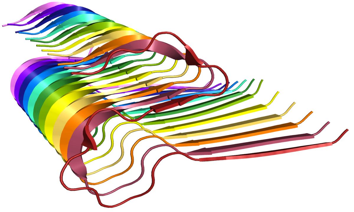 multiamyloid.1200x1200.jpeg