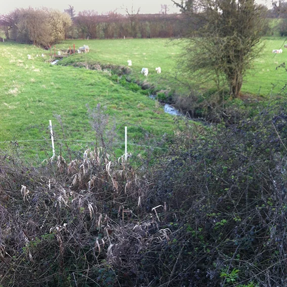 Looking south of the A4. The Biddestone stream meanders towards the Pudding brook.