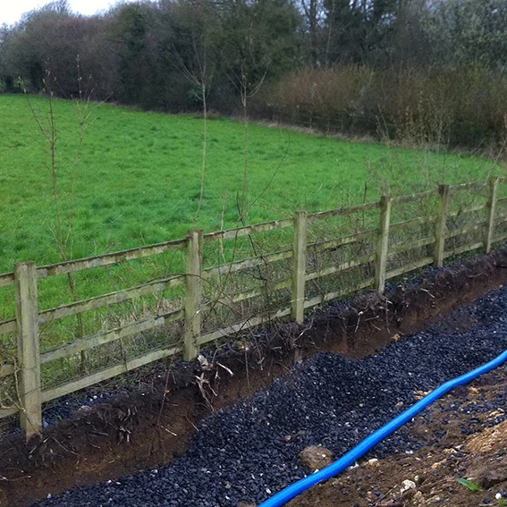 The new fence, with saplings planted against it, next to the widened road.