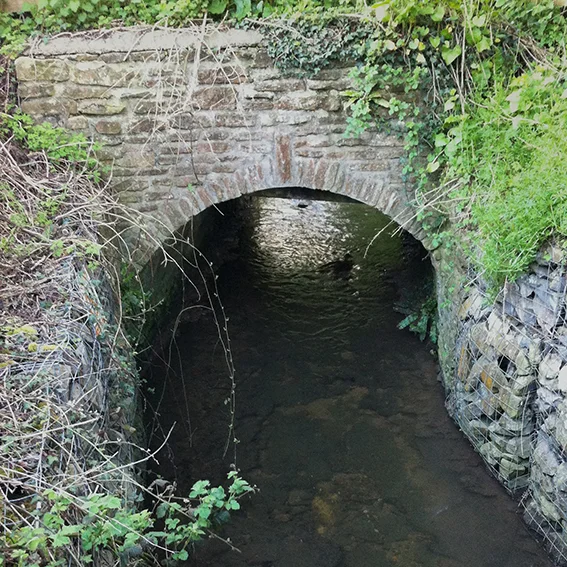 Bridge over the Pudding Brook connecting private gardens with adjoining woodland.
