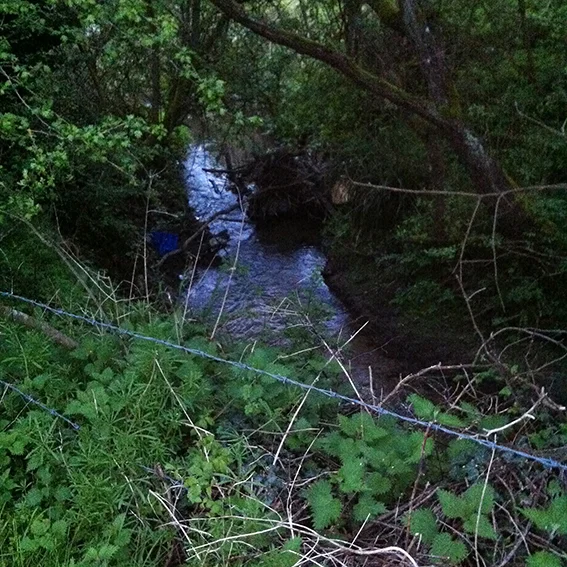 The Pudding Brook flowing away from Patterdown